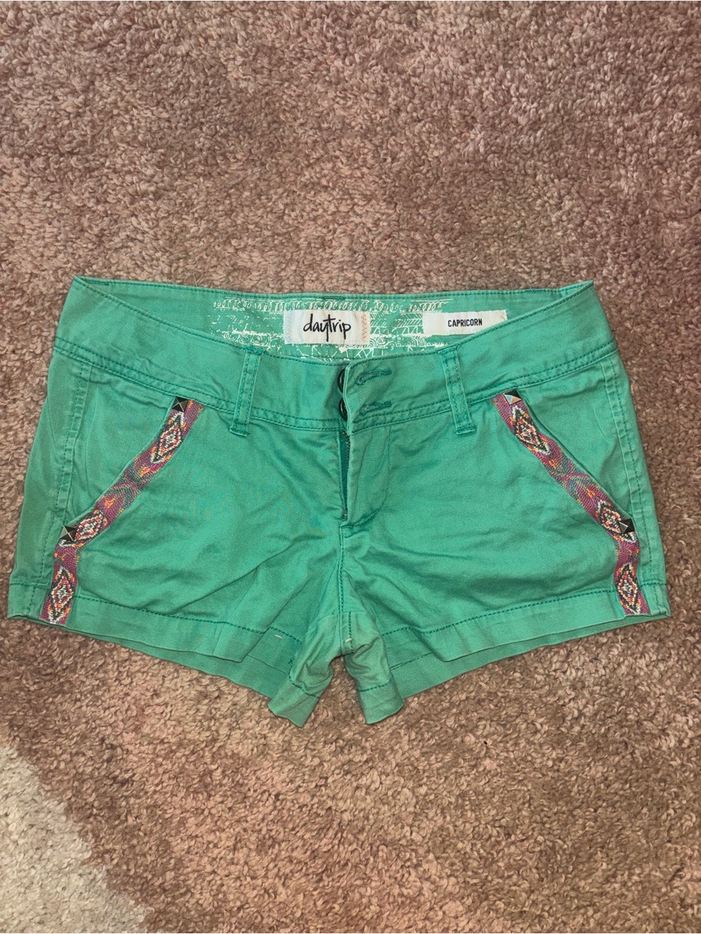 Daytrip Green Shorts with Multicolor Embroidered Side Trim